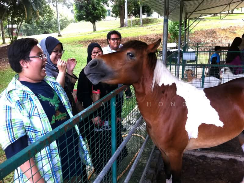 Twin Villa for Rent in Durian Tunggal (Melaka) - William Chong - Exterior - PropertyGuru.com.my