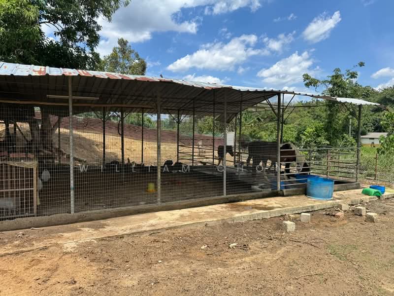 Twin Villa for Rent in Durian Tunggal (Melaka) - William Chong - Exterior - PropertyGuru.com.my