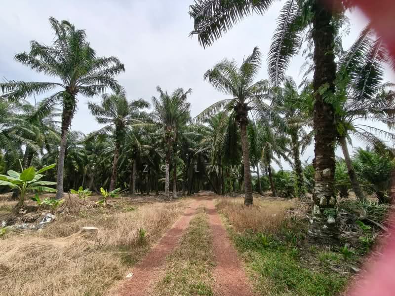 Agricultural Land for Sale in Kampung Sungai Lurus (Senggarang) - ZG Law - Exterior - PropertyGuru.com.my