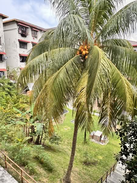 Apartment for Sale at Apartment Harmoni - Travis Wong - Exterior - PropertyGuru.com.my