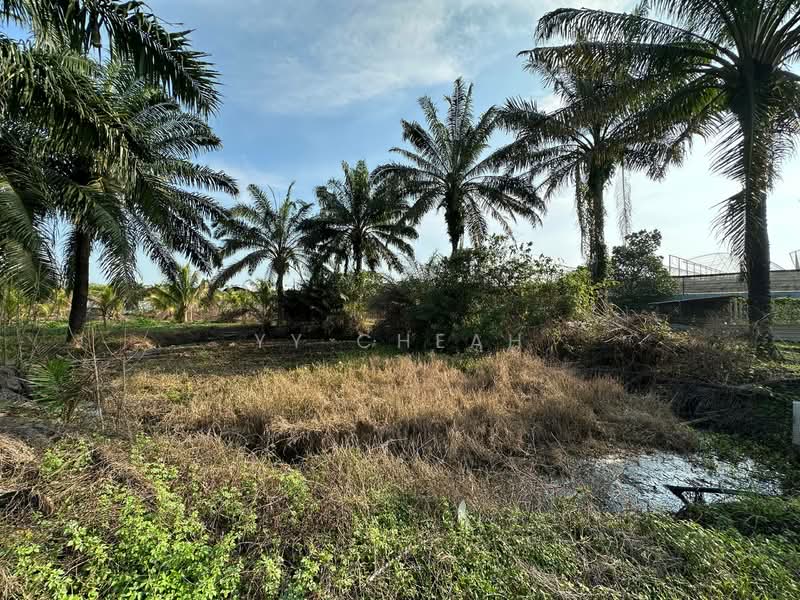 Agricultural Land for Sale in Gopeng (Perak) - YY Cheah - Exterior - PropertyGuru.com.my