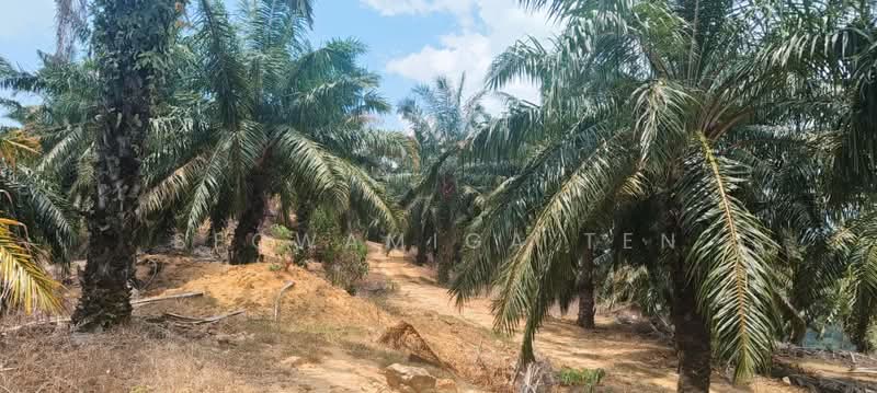 Tanah Pertanian untuk Dijual di Gemencheh (Negeri Sembilan) - Seowamiga Ten - Exterior - PropertyGuru.com.my