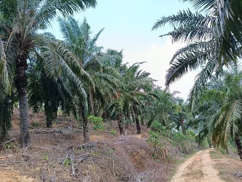 Tanah Pertanian untuk Dijual di Gemencheh (Negeri Sembilan) - Seowamiga Ten - Exterior - PropertyGuru.com.my