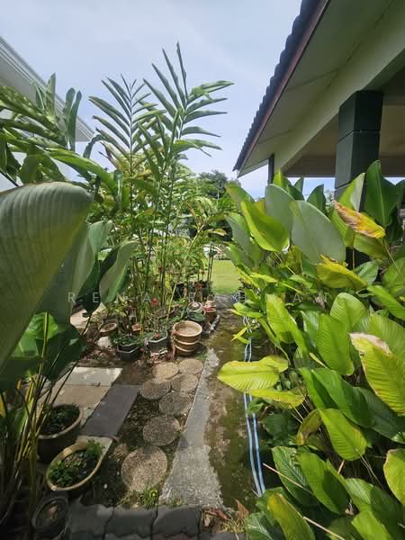Bungalow for Sale in Taman Rasah Kemayan (Rasah) - Rena Rahman - Garden - PropertyGuru.com.my