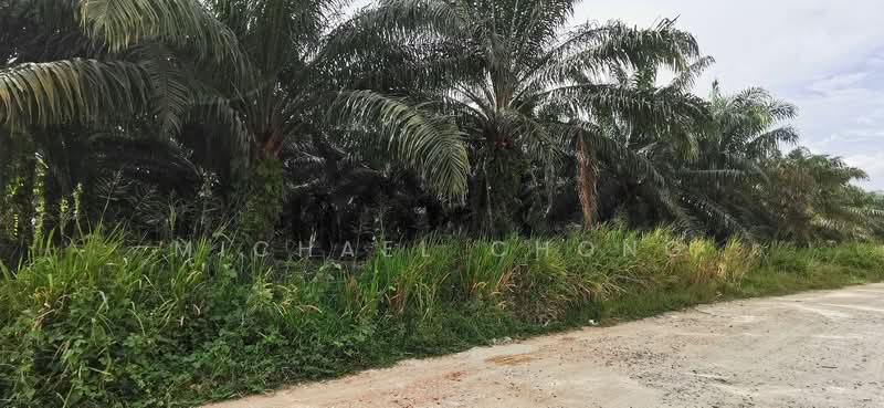 Industrial Land for Sale in Tebrau (Johor) - Michael Chong - PropertyGuru.com.my