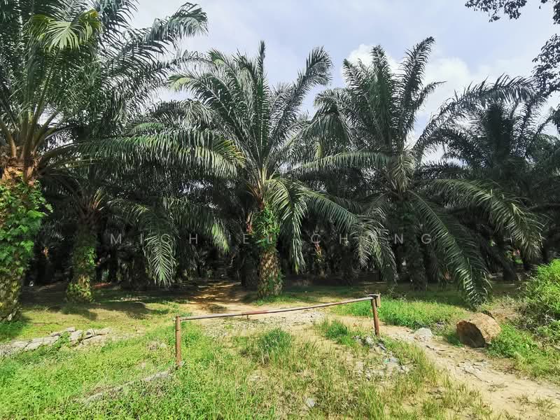 Industrial Land for Sale in Tebrau (Johor) - Michael Chong - Exterior - PropertyGuru.com.my
