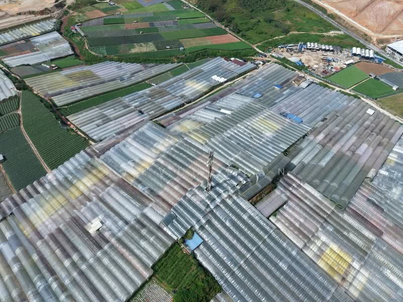 Untuk Dijual - Blue Valley