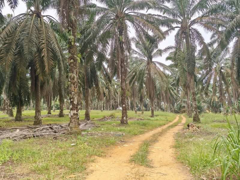 Kulai untuk Untuk Dijual - RM 12,937,320, Mac 2026 - Exterior - PropertyGuru.com.my