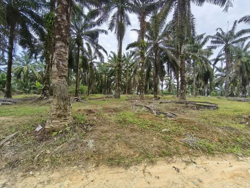 Kulai untuk Untuk Dijual - RM 12,937,320, Mac 2026 - PropertyGuru.com.my