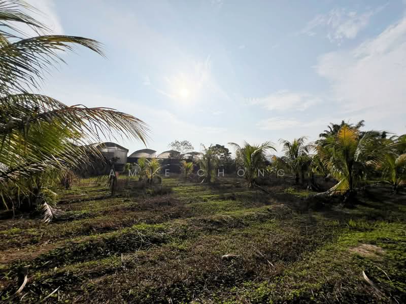 Agricultural Land for Sale in Gopeng (Perak) - Amie Chong - PropertyGuru.com.my