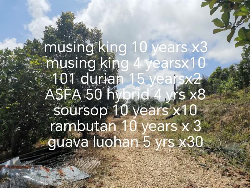 Mersing untuk Untuk Dijual - RM 4,000,000, Mac 2026 - PropertyGuru.com.my