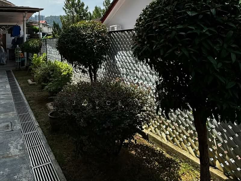 Semi-Detached House for Sale in Tanjung Bungah (Penang) - Joyce Lee - Simple Garden for Easy Maintenance - PropertyGuru.com.my