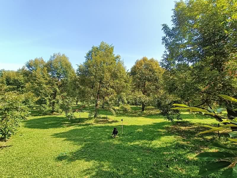 Agricultural Land for Sale in Gopeng (Perak) - Kit Pin Liew - Garden - PropertyGuru.com.my