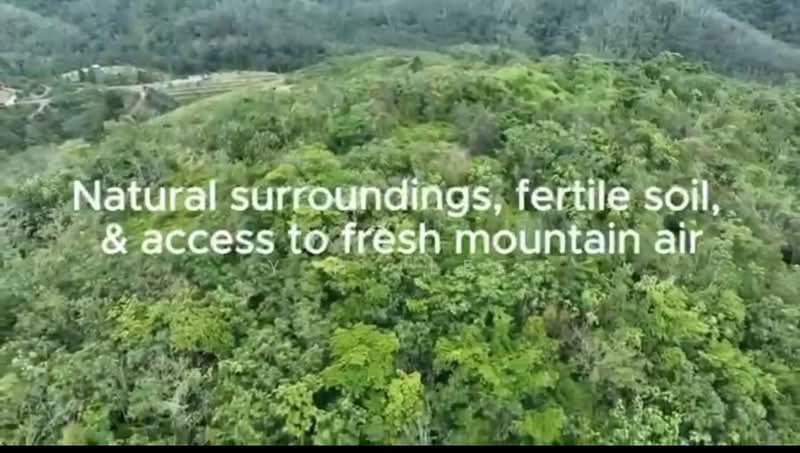 Agricultural Land for Sale in Kampung Sri Parit (Lukut) - Y.H. Lee - Exterior - PropertyGuru.com.my