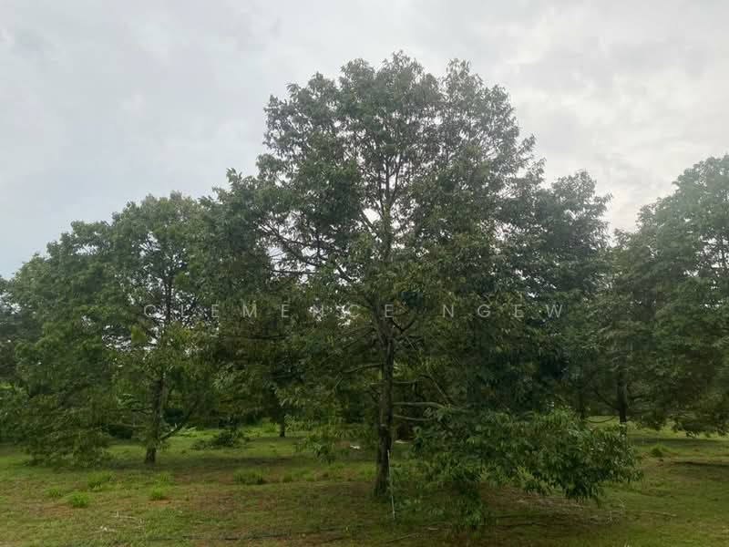 Tangkak untuk Untuk Dijual - RM 6,800,000, Mac 2026 - Exterior - PropertyGuru.com.my