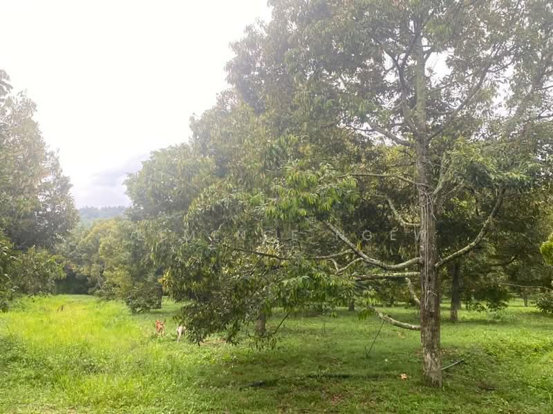 Tangkak untuk Untuk Dijual - RM 6,800,000, Mac 2026 - Garden - PropertyGuru.com.my