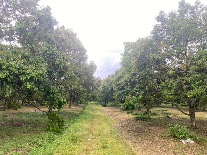 Tangkak untuk Untuk Dijual - RM 6,800,000, Mac 2026 - Garden - PropertyGuru.com.my