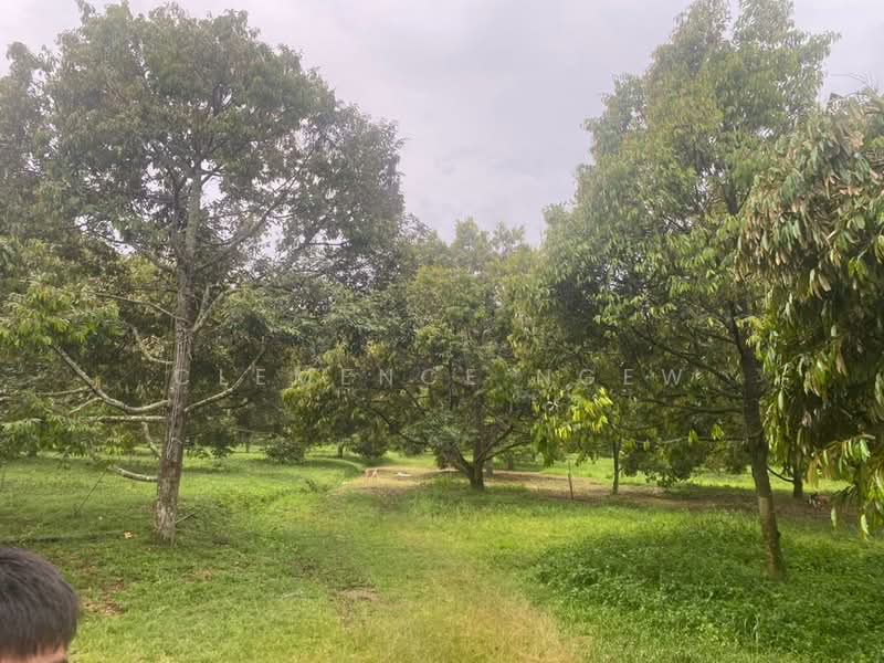 Tangkak untuk Untuk Dijual - RM 6,800,000, Mac 2026 - Exterior - PropertyGuru.com.my