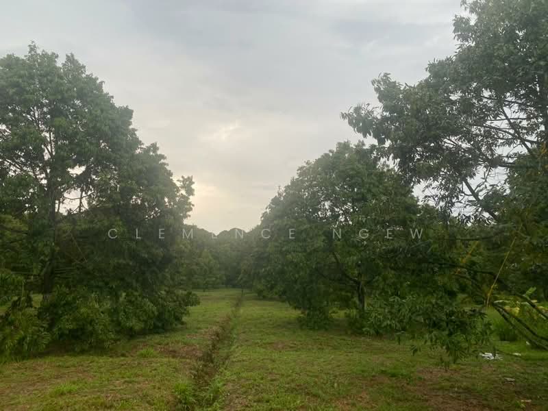 Tangkak untuk Untuk Dijual - RM 6,800,000, Mac 2026 - Garden - PropertyGuru.com.my