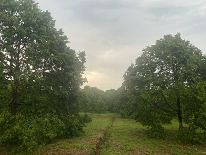 Tangkak untuk Untuk Dijual - RM 6,800,000, Mac 2026 - Garden - PropertyGuru.com.my