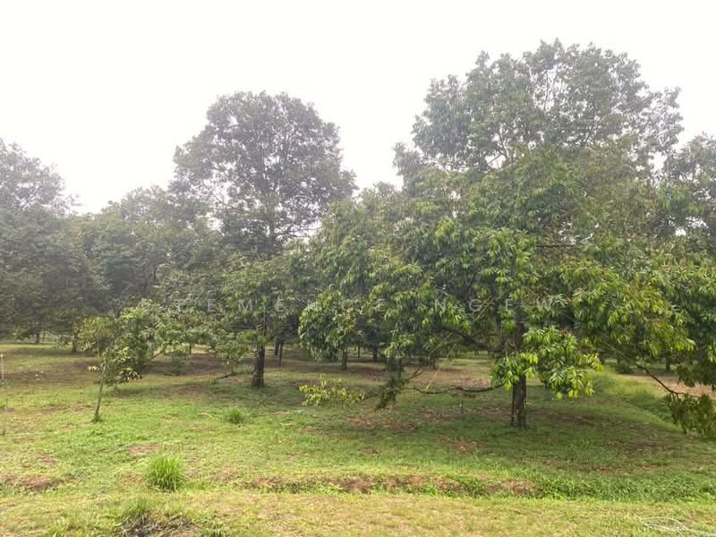 Tangkak untuk Untuk Dijual - RM 6,800,000, Mac 2026 - Garden - PropertyGuru.com.my