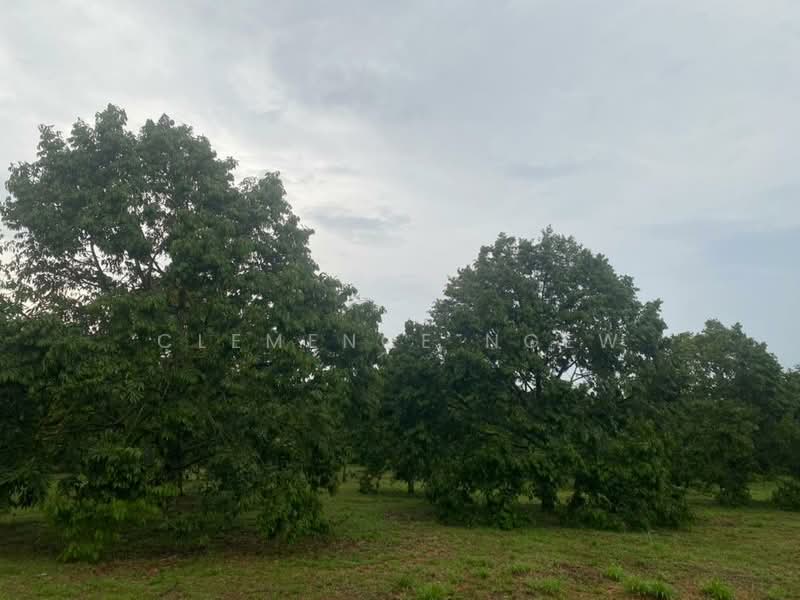 Tangkak untuk Untuk Dijual - RM 6,800,000, Mac 2026 - Exterior - PropertyGuru.com.my