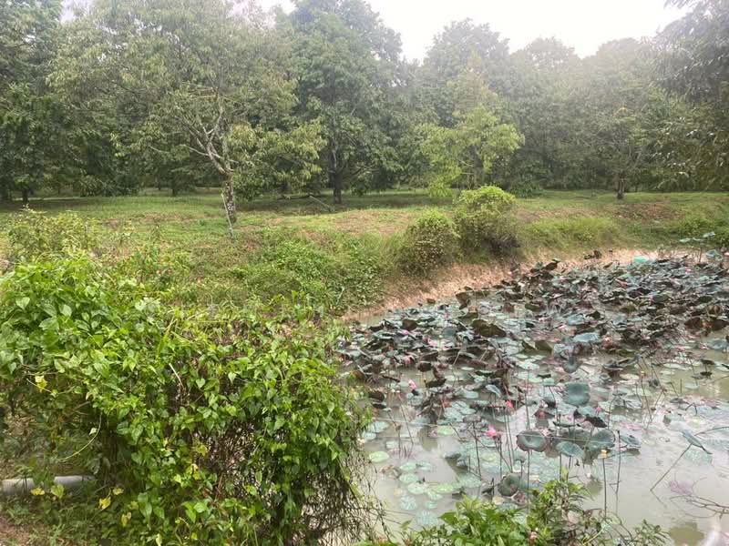 Tangkak untuk Untuk Dijual - RM 6,800,000, Mac 2026 - Garden - PropertyGuru.com.my