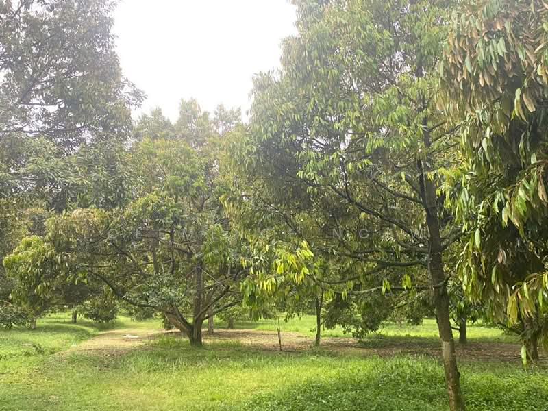 Tangkak untuk Untuk Dijual - RM 6,800,000, Mac 2026 - Exterior - PropertyGuru.com.my