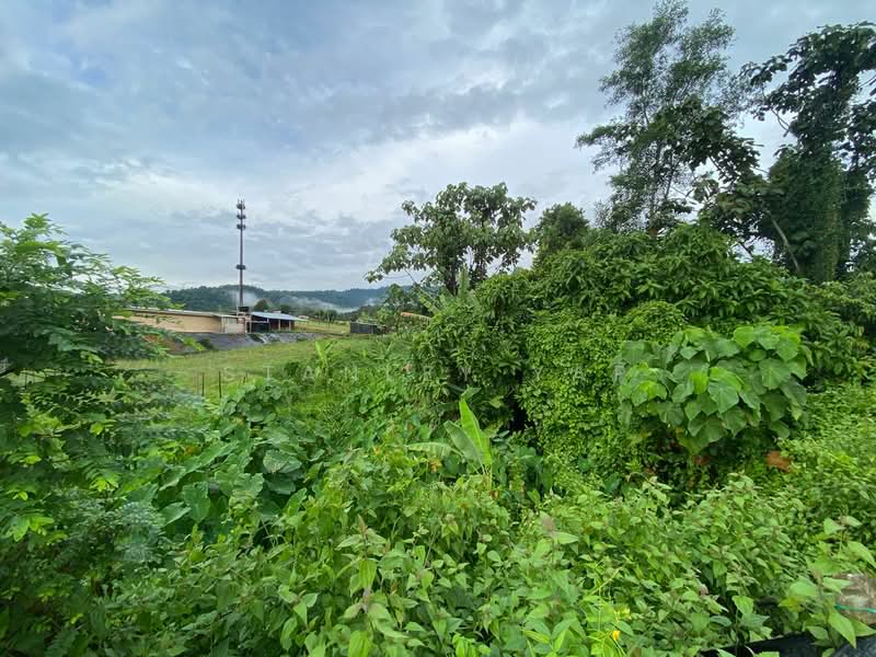 Agricultural Land for Sale in Kampung Mantin Dalam (Mantin) - Stanley Yap - Exterior - PropertyGuru.com.my