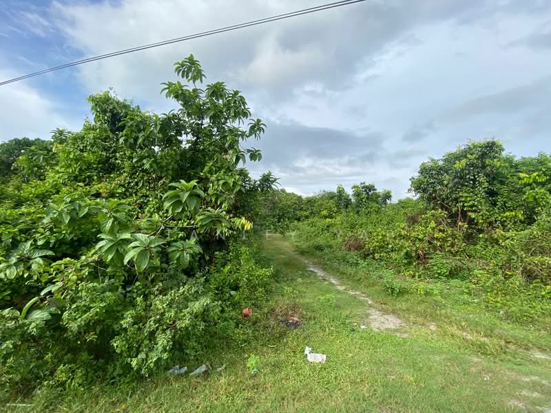 Agricultural Land for Sale in Serendah (Selangor) - Stanley Yap - Exterior - PropertyGuru.com.my