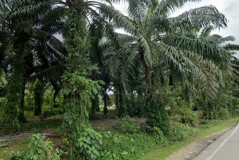 Commercial Land for Sale in Masai (Johor) - Derrick Tan - Exterior - PropertyGuru.com.my