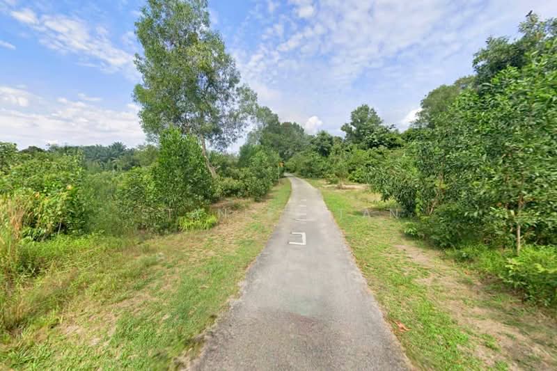 Ulu Pulai Gelang Patah Commercial Land - 1