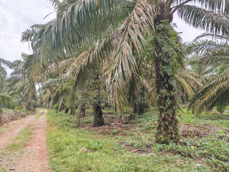 Kulai untuk Untuk Dijual - RM 1,677,060, Mac 2026 - Exterior - PropertyGuru.com.my