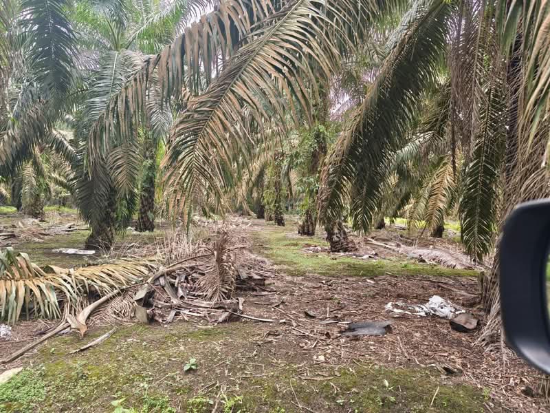 Kulai untuk Untuk Dijual - RM 1,677,060, Mac 2026 - Exterior - PropertyGuru.com.my