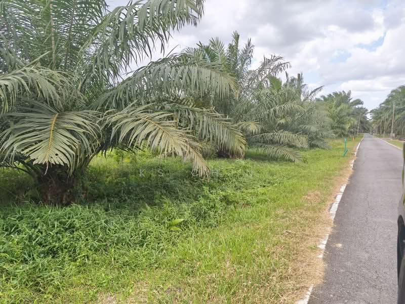 Agricultural Land for Sale in Kulai (Johor) - KS Chin - PropertyGuru.com.my