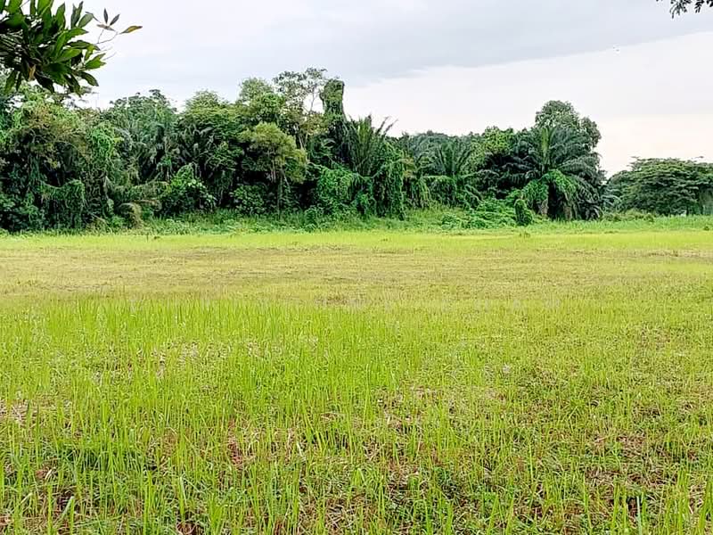 Tanah Komersial untuk Dijual di Kota Tinggi (Kota Tinggi) - Christine Cham - Exterior - PropertyGuru.com.my
