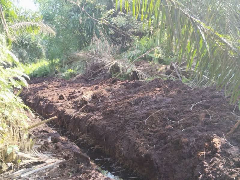 Jalan Parit Panjang, Mukim Ayer Baloi, Pontian untuk Untuk Disewa - RM 6,000 /bulan, Apr 2026 - PropertyGuru.com.my