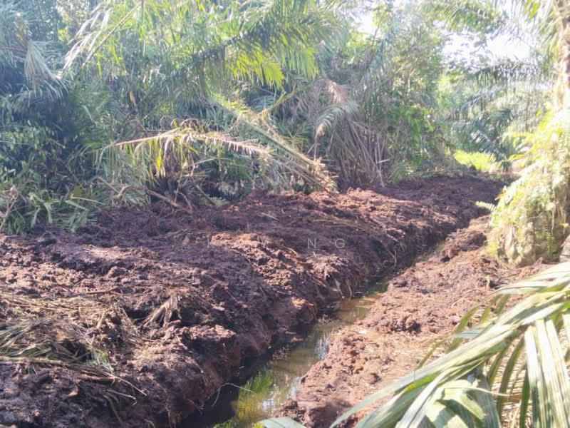 Jalan Parit Panjang, Mukim Ayer Baloi, Pontian untuk Untuk Disewa - RM 6,000 /bulan, Apr 2026 - PropertyGuru.com.my