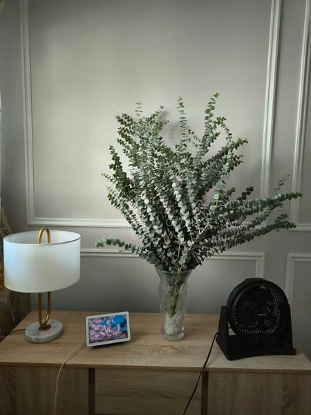 3-storey Terraced House for Sale in Tiger Lane (Ipoh) - Chea Chea Lim - Interior - PropertyGuru.com.my