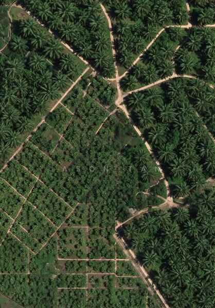 For Sale - Bukit Changgang