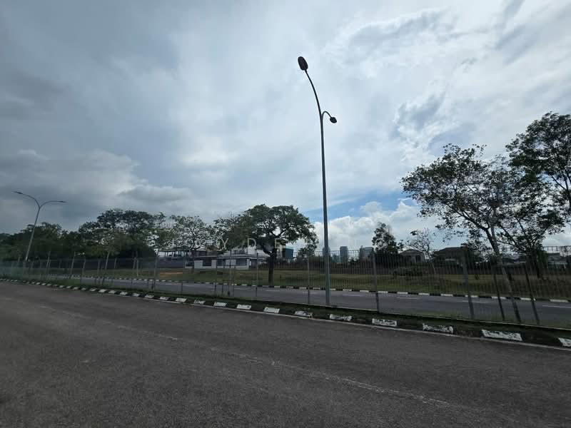 Ponderosa Ponderosa Ponderosas - 2