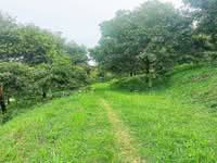 For Sale - Kampung Temau