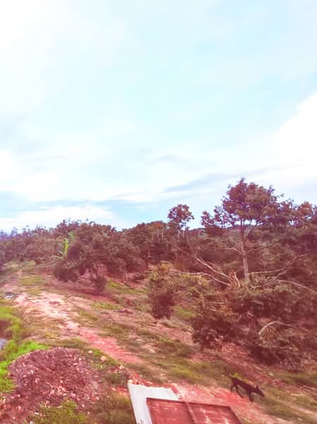Tanah Pertanian untuk Dijual di Segamat (Johor) - VK Hng - Exterior - PropertyGuru.com.my