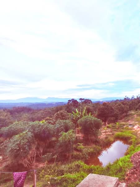 Tanah Pertanian untuk Dijual di Segamat (Johor) - VK Hng - Garden - PropertyGuru.com.my