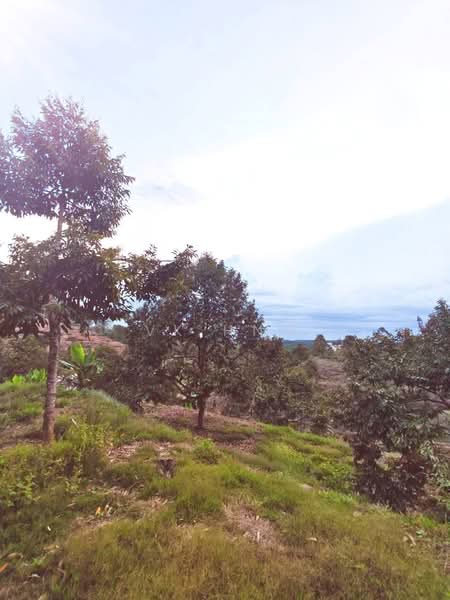 Tanah Pertanian untuk Dijual di Segamat (Johor) - VK Hng - PropertyGuru.com.my