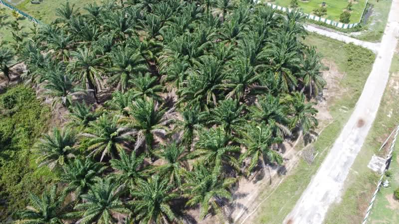 Taman Lawan Kuda untuk Untuk Dijual - RM 195,000, Mac 2026 - Exterior - PropertyGuru.com.my