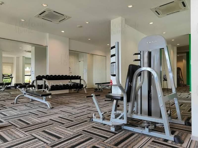 Kondominium untuk Dijual di Amberside @ Country Garden Danga Bay - Daniel Yong - Gym - PropertyGuru.com.my