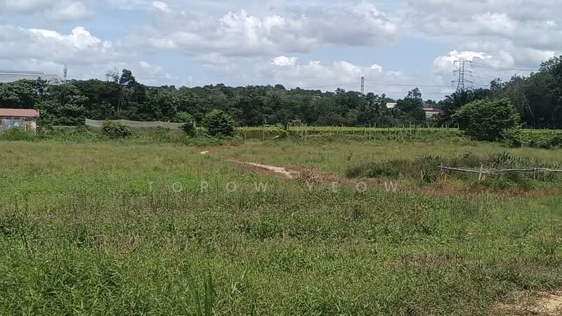 Agricultural Land for Sale in Sungai Tiram (Ulu Tiram) - Torow Yeow - Exterior - PropertyGuru.com.my