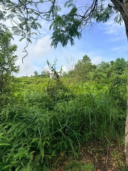 Bungalow Land for Sale in Iskandar Puteri (Nusajaya) (Johor) - Ying Xuan - Exterior - PropertyGuru.com.my