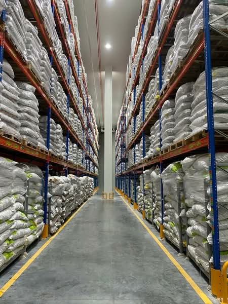 Terrace Factory for Sale in Rawang (Selangor) - Calvin Tan - Interior - PropertyGuru.com.my